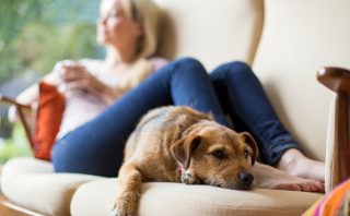 Relax and reset moms and self care love mumma